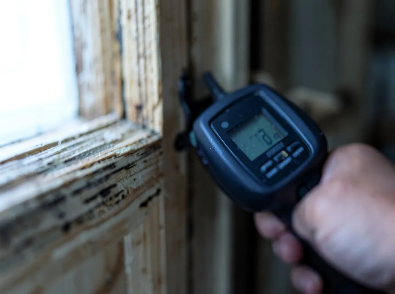Moisture Inspection And Documentation in Stonewall, MS